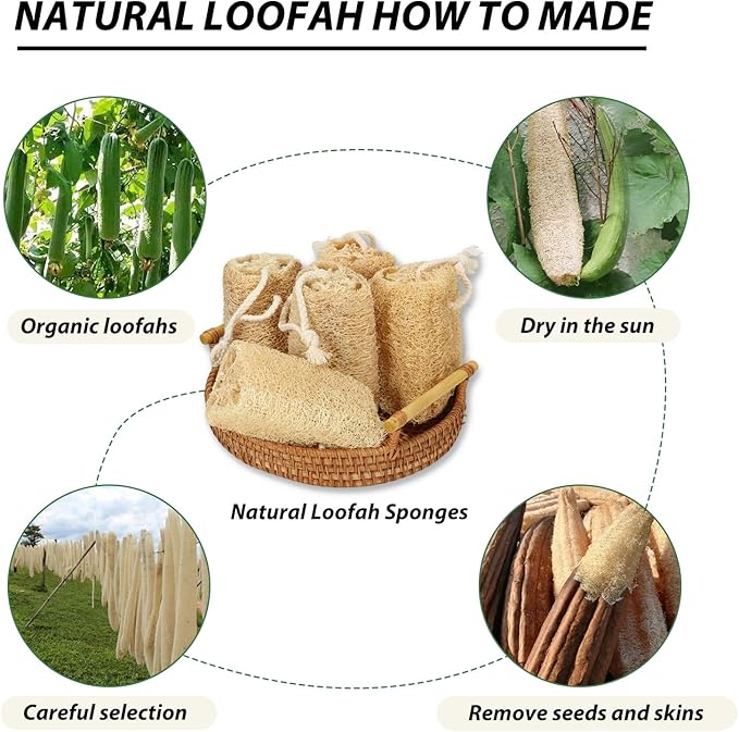 Natural Loofah Slices Cuts for Soap Making-20 Pack Organic Luffa Loofa Sponges for Soap Holder Handmade DIY Loofa Pet Toy Loofahs
