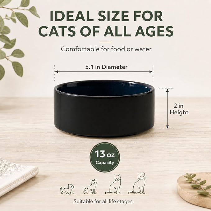 Havniva Cat Bowls Water Bowl Set of Two, 5.1” Ceramic Cat Food and Water Bowl Whisker Friendly Pet Food Bowls for Indoor Cats, Wide Cat Water Dish Prevent Whisker Fatigue Non Slip Cat Feeder