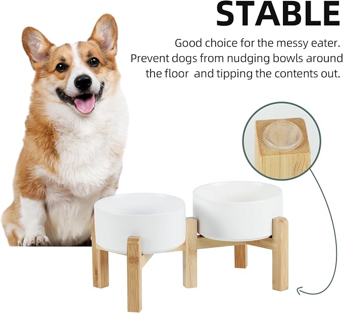 Havniva 6.1” Dog Bowls Elevated Ceramic Dog Food and Water Bowl Set, Double Raised Dog Water Bowl with Stand Non-Slip Rubber Base Two Heights Large Capacity Feeding Pet Food Bowl for Small Dogs