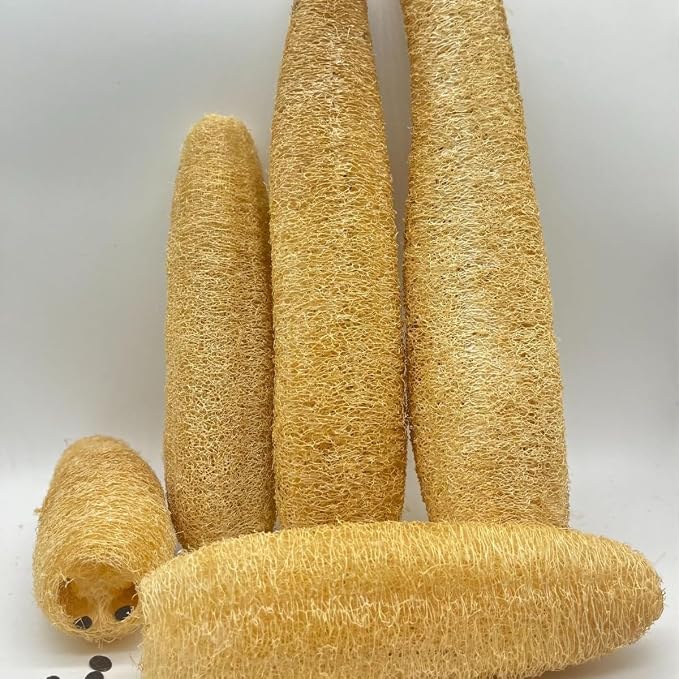 Natural Egyptian Loofah Sponge (2-Pack) - Exfoliating Body Scrubber for Women & Men, Organic Plant-Based Bath Sponge for Face, Body & Back Cleaning - Gentle Exfoliation for Soft Skin