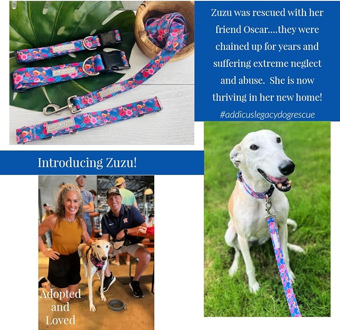 Lucky Love Dog Martingale Dog Collar - Adjustable, No-Slip, Durable, & Soft Webbing Collar for Male and Female Dogs Ideal for Training & Walking - Zuzu, Medium