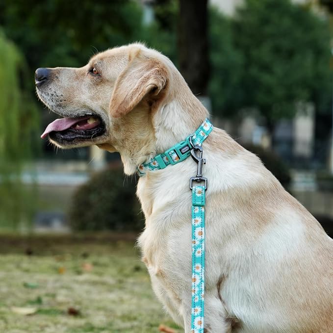 Dog Collar Leash Set, Floral Pattern, with Safety Reflective Strips, 5 ft Matching Leash, Neoprene Padded Handle, Adjustable 4 Sizes for Small Medium Large Dogs.(S, Green Daisy)