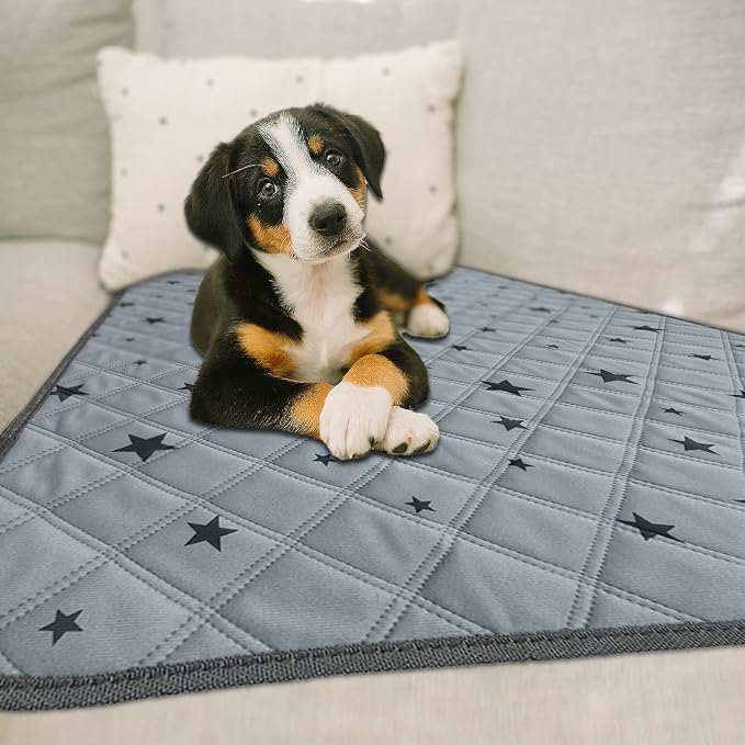 RIOUSSI Washable Pee Pads for Dogs, Reusable, Absorbent, Leakproof, Non Slip Pet Puppy Pads for Potty Training. Gray Stars, 18x24 Inch(4pack)
