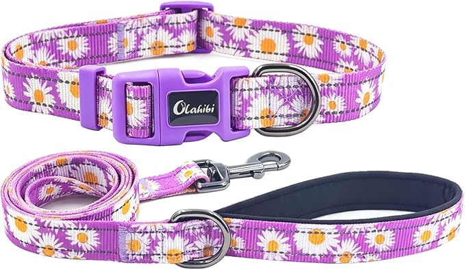 Dog Collar Leash Set, Floral Pattern, with Safety Reflective Strips, 5 ft Matching Leash, Neoprene Padded Handle, Adjustable 4 Sizes for Small Medium Large Dogs.(L, Purple Daisy)