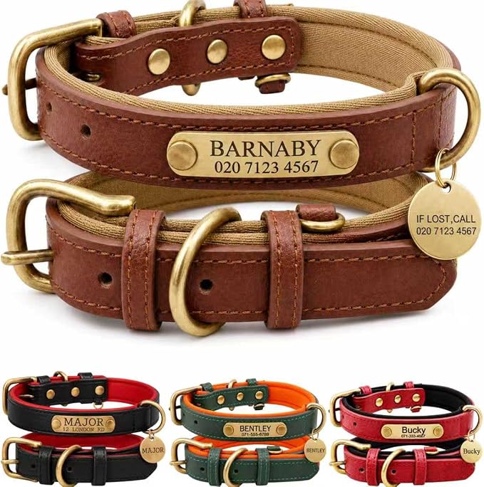 Leather Dog Collar Personalised and Leash Set, Personalized with Soft Padded Design Heavy Duty Featuring Custom Engraved Name Plate for Small Medium and Large Dogs