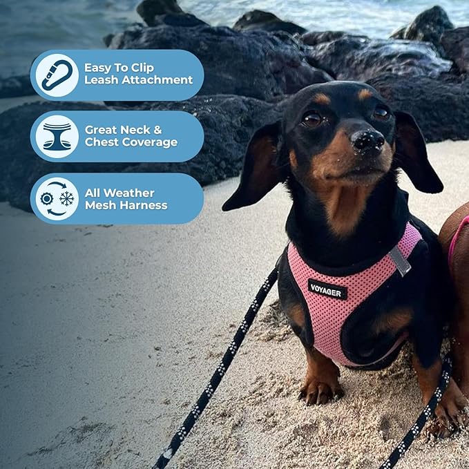 Best Pet Supplies Voyager Step-in Air All Weather Mesh Harness and Reflective Dog 5ft Leash Combo with Neoprene Handle, for Small, Medium and Large Breed Puppies - Pink Base, Large