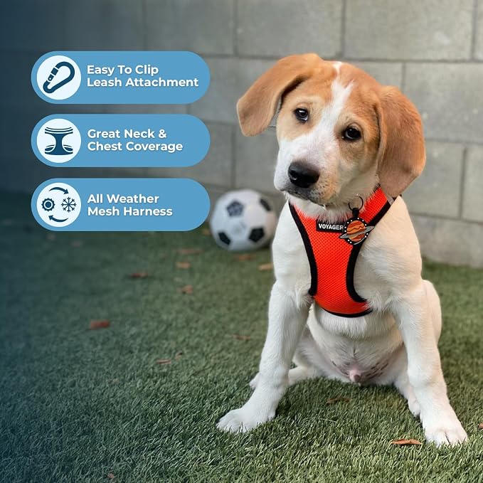 Best Pet Supplies Voyager Step-in Air All Weather Mesh Harness and Reflective Dog 5ft Leash Combo with Neoprene Handle, for Small, Medium and Large Breed Puppies - Orange/Black Trim, X-Large