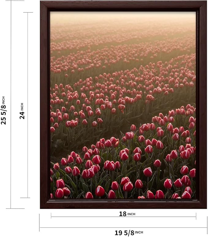 Monem Art Golden Tulip Field Sunset Photography Print - Romantic Spring Landscape Art Poster - Wall Decor for Living Room, Bedroom or Office - 18x24 Brown Framed CANVAS Wall Art by Mareike Bohmer