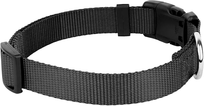 Country Brook Petz - Everyday Nylon Dog Collar and Leash - 10+ Cool Colors (3/8 Inch, Extra Small, Black)