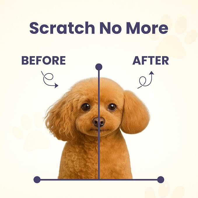 Project Sudz Spa Collection Liquid Shampoo – Driftwood & Amber | Natural Pet Shampoo for Dogs & Cats | Eco-Friendly, Gentle, Non-Toxic, Made in USA