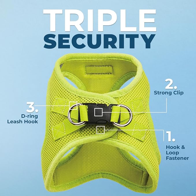 Best Pet Supplies Voyager Step-in Air All Weather Mesh Harness and Reflective Dog 5ft Leash Combo with Neoprene Handle, for Small, Medium and Large Breed Puppies - Lime Green, XX-Small