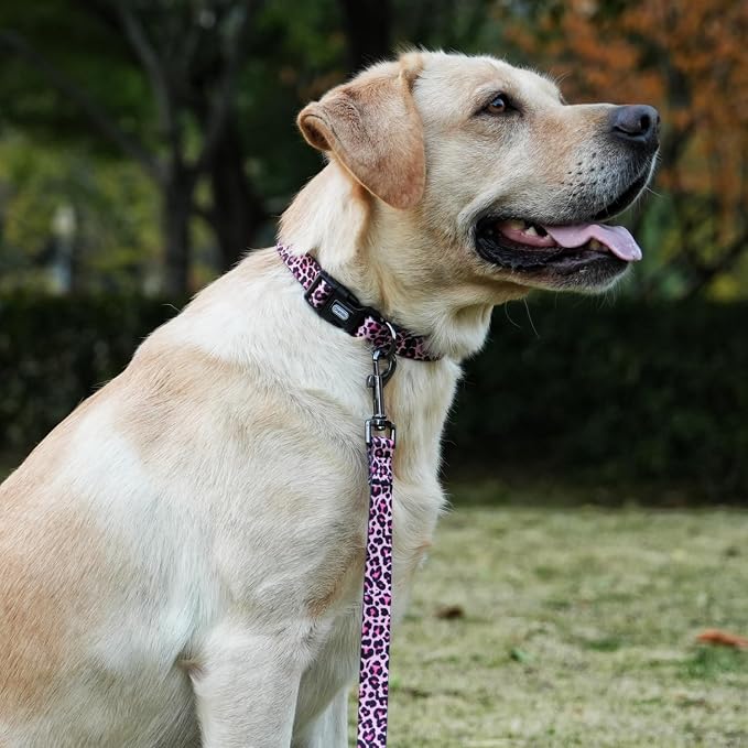 Dog Collar Leash Set, Leopard Pattern, Polyester Material, Adjustable Collar and 5ft Matching Leash, for Small Dogs.(S, Colorful Leopard)