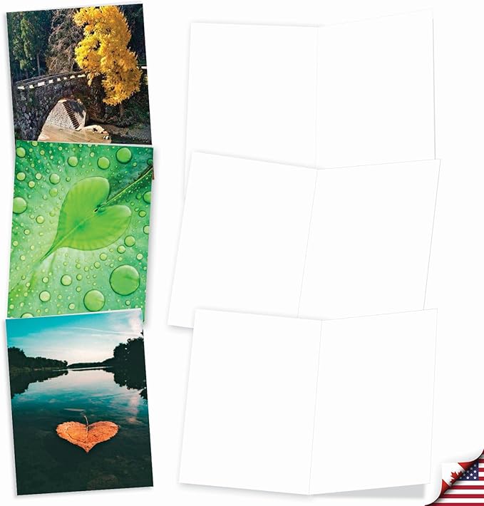 The Best Card Company - 20 Cute Boxed Cards (4 x 5.12 Inch) - Assorted Blank Set (10 Designs, 2 Each) - Heartscapes AM6838OCB-B2x10