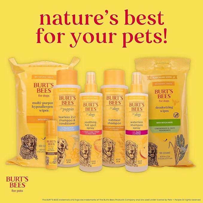 BURT'S BEES FOR PETS Itch Soothing Shampoo with Honeysuckle, 95% Natural Origin Formulas, Dog Shampoo for Itchy Dogs, Dog Shampoo Itchy Skin Relief, 32 oz