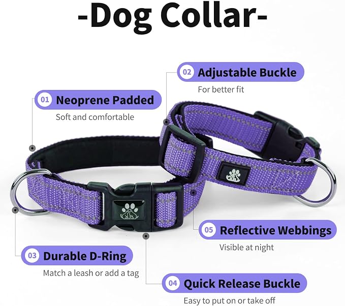 IVY&LANE 2 Pack Reflective Dog Collars and Leashs Set,Adjustable Neoprene Padded Dog Collar for Puppy, Breathable Nylon Pet Collar for Small Medium Large Dogs(Small,Purple+Fuchsia)