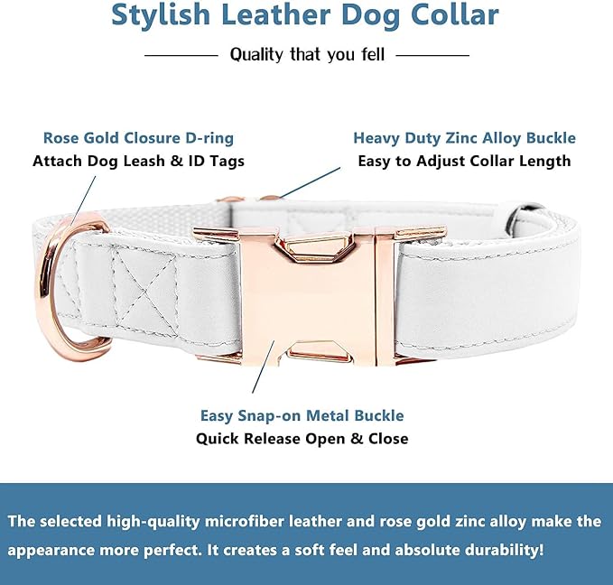 Soft Leather Dog Collar and Leash (6.6') Set - Stylish Rose Gold Heavy Duty Metal Buckle, 4 Adjustable Lengths Leash for Small Medium Large Dogs - Comfortable & Easy to Clean White M(13.8"-19.7")