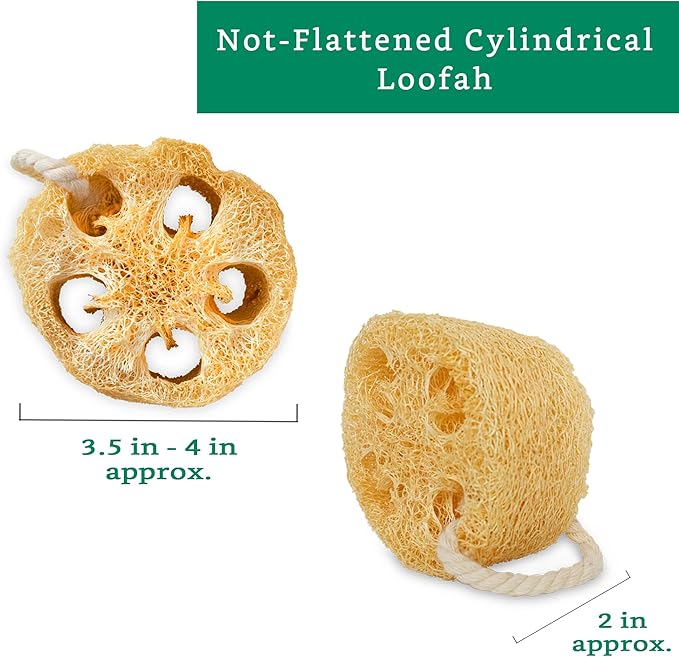 Natural Loofah Exfoliating Sponge (4 Pack) - Loofa Exfoliating Body Scrubber - Biodegradable Organic Loofah Sponge - Shower Luffa Sponges - Shower Lufa - Estropajos para el Cuerpo