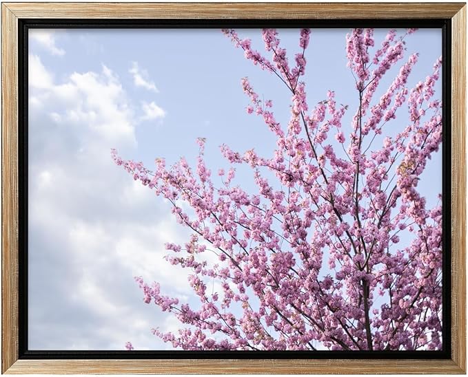 Monem Art Cherry Blossom Spring Sky Photography Print - Floral Nature Art Poster - Wall Decor for Living Room, Bedroom or Office - 18x24 Silver Framed CANVAS Wall Art by Mareike Bohmer