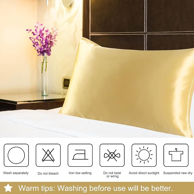 uxcell 1 Pack 100% Charmeuse Pure Silk Pillowcase for Hair and Skin, 350TC 19 Momme Soft Breathable Pillow Case with Hidden Zipper, Champagne Queen(20x30inch)