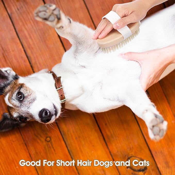 Soft Boar Bristle Pet Brush, Ergonomic Dog Brush Reduces Shedding, Ideal for Daily Gentle Grooming Natural Palm Brushes for Short Haired Dogs & Cats with Non-Slip Band