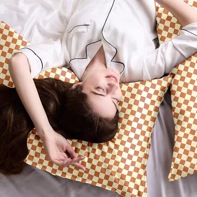 ZIMASILK 100% Pure Mulberry Silk Pillow Cases for Hair and Skin, Soft, Hypoallergenic & Smooth, Both Sides Grade 6A Silk, with Hidden Zipper, Gift for Women Men, 1pc (Queen 20"x30", Checkered)