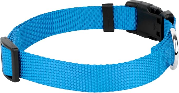 Country Brook Petz - Everyday Nylon Dog Collar and Leash - 10+ Cool Colors (1 Inch, Large, Ice Blue)
