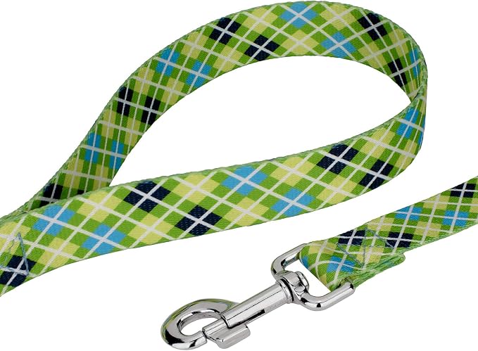Country Brook Petz - Margarita Argyle Everyday Collar and Leash - Plaid and Argyle Collection Featuring Charming Designs (1 Inch, Large)