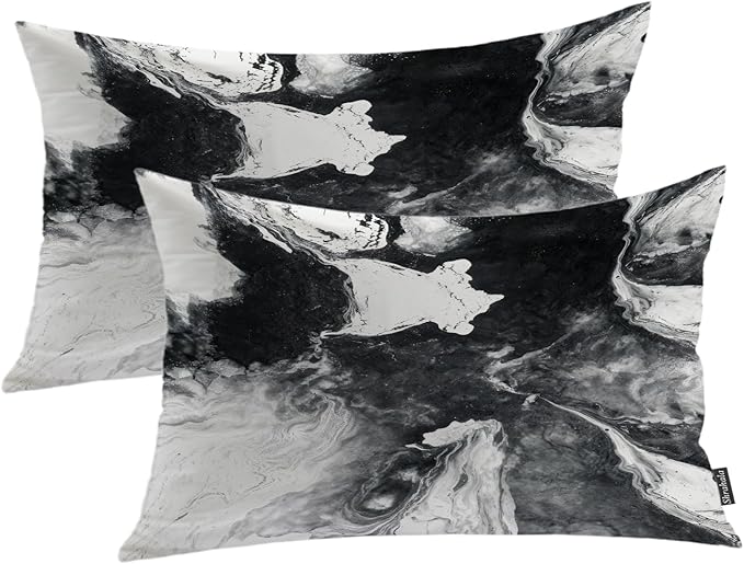 Shrahala Black and White Decorative Throw Pillow Cover, Watercolor Creative Abstract Hand Painting On Canvas Modern Cushion Case for Sofa Bedroom Throw Pillow Case, 12 X 20 Inches