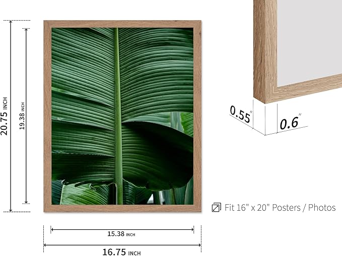 Monem Art Tropical Banana Leaf Photography Print - Minimalist Botanical Nature Poster - Wall Decor for Living Room, Bedroom or Office - 16x20 Beige Framed Wall Art by Mareike Bohmer