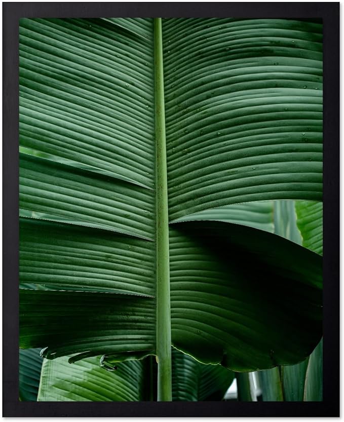 Monem Art Tropical Banana Leaf Photography Print - Minimalist Botanical Nature Poster - Wall Decor for Living Room, Bedroom or Office - 8x10 Black Framed Wall Art by Mareike Bohmer