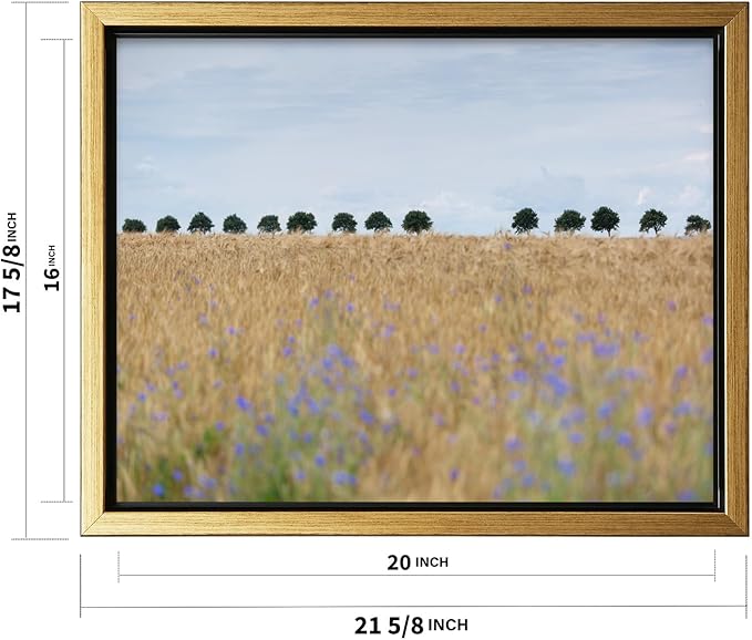 Monem Art Golden Meadow Horizon Landscape Print - Minimalist Nature Photography Poster - Wall Decor for Living Room, Bedroom or Office - 16x20 Gold Framed CANVAS Wall Art by Mareike Bohmer