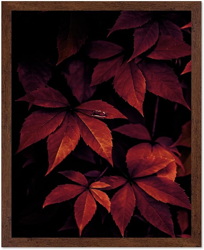 Monem Art Red Autumn Leaves Macro Photography Print - Moody Botanical Nature Poster - Wall Decor for Living Room, Bedroom or Office - 12x16 Brown Framed Wall Art by Mareike Bohmer
