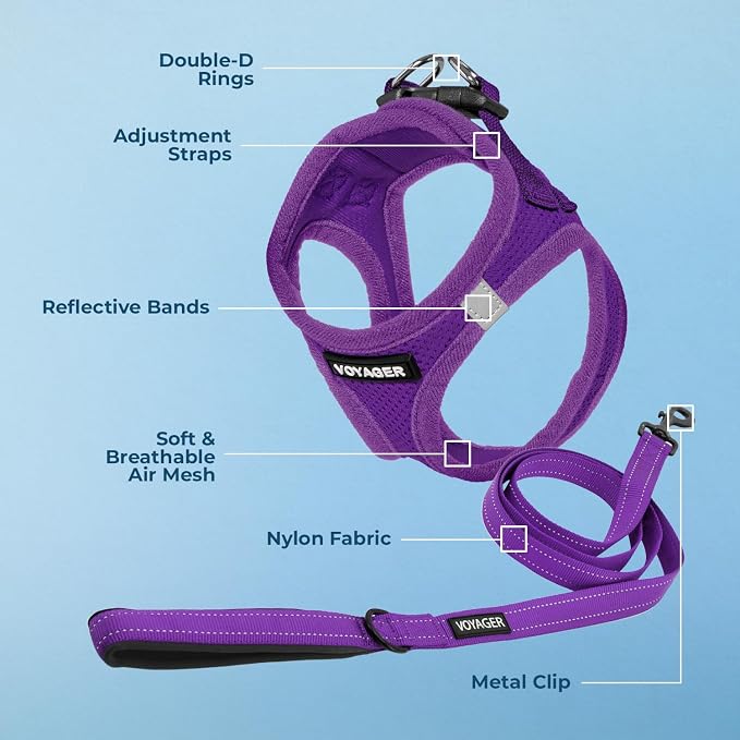 Best Pet Supplies Voyager Step-in Air All Weather Mesh Harness and Reflective Dog 5ft Leash Combo with Neoprene Handle, for Small, Medium and Large Breed Puppies - Purple, Large