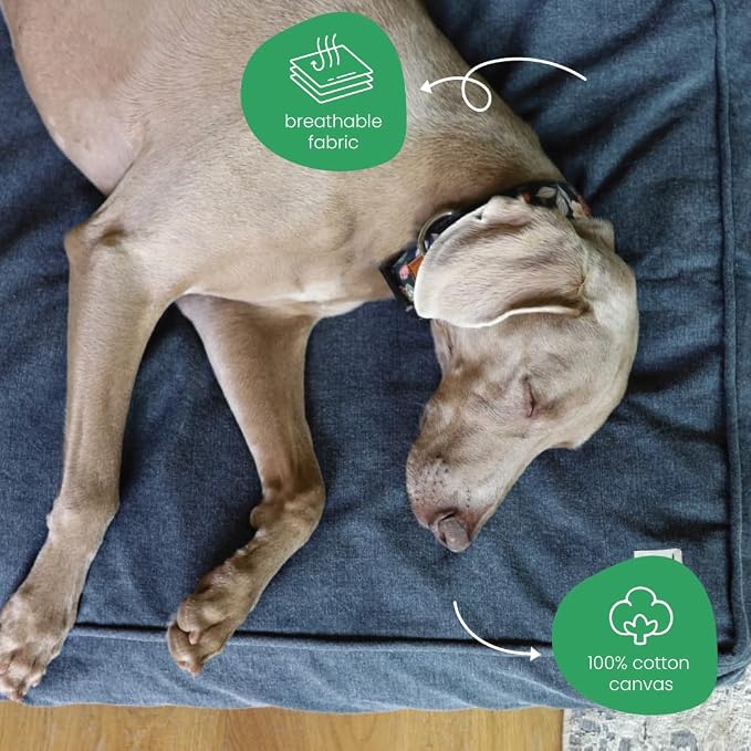 Molly Mutt Dragonstone Dog Bed Duvet Cover, GOTS-Certified 100% Cotton Canvas Cover for Dog, Puppy, or Cat Bed, Durable, Washable, and Free of Harmful Chemicals, Medium/Large, 27"x36"x5", Blue