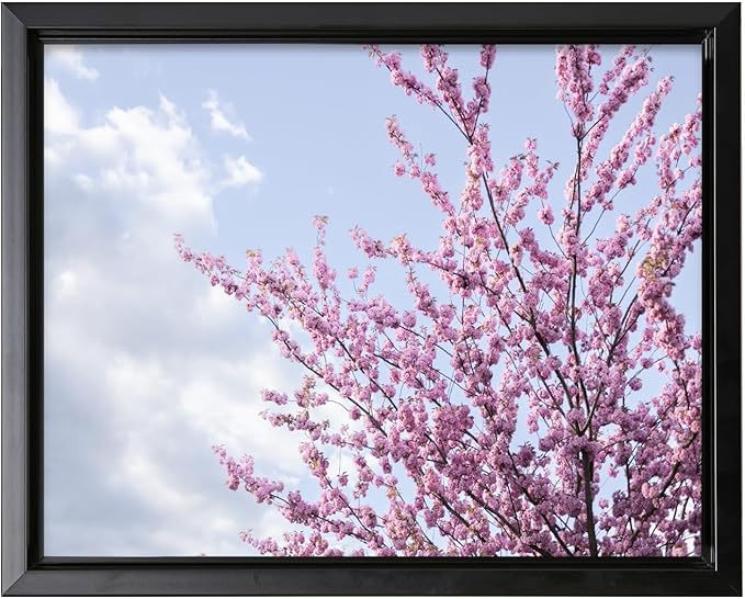 Monem Art Cherry Blossom Spring Sky Photography Print - Floral Nature Art Poster - Wall Decor for Living Room, Bedroom or Office - 12x16 Black Framed CANVAS Wall Art by Mareike Bohmer