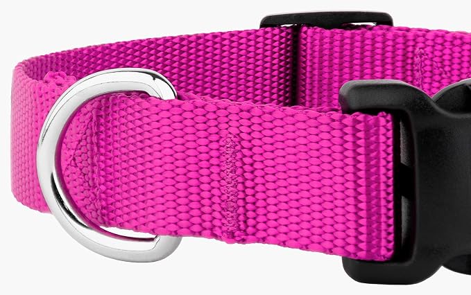 Country Brook Petz - Everyday Nylon Dog Collar and Leash - 10+ Cool Colors (3/4 Inch, Small, Fuchsia)