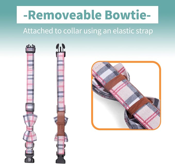 IVY&LANE Dog Collar with Bowtie and Leash Set | Plaid Adjustable Dog Collar | Detachable Bow Tie |5 FT Dog Leash | for Small Medium Large Dogs | Checkered Beige | Medium