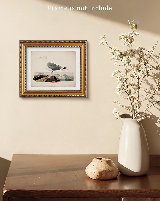 Vodefoad Vintage Seagull Print Large Seagull Nautical Bird Wall Art Coastal Print Beach House Wall Art Nautical Decor for Gallery Kitchen Living Room Bedroom (UNFRAMED 8x10in)