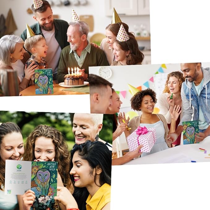 Tree-Free Greetings - Birthday Cards - Artful Designs - 2 Cards + Matching Envelopes - Made in USA - 100% Recycled Paper - 5 x 7 - Another Year Wiser (GT65317)