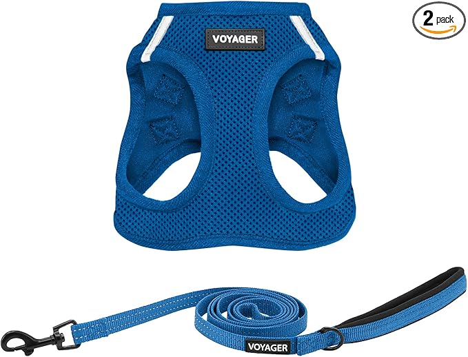 Best Pet Supplies Voyager Step-in Air All Weather Mesh Harness and Reflective Dog 5ft Leash Combo with Neoprene Handle, for Small, Medium and Large Breed Puppies - Royal Blue, Medium