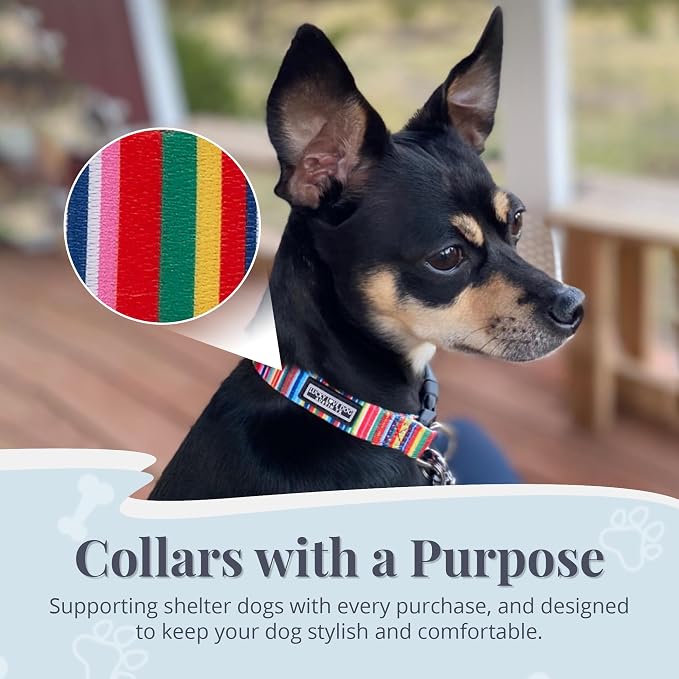 Lucky Love Dog Collar, Beautiful & Vivid Patterns, Rainbow Dog Collar for X-Large Dogs, Easy On & Off Clasp Accessory (Hippie, XL)…