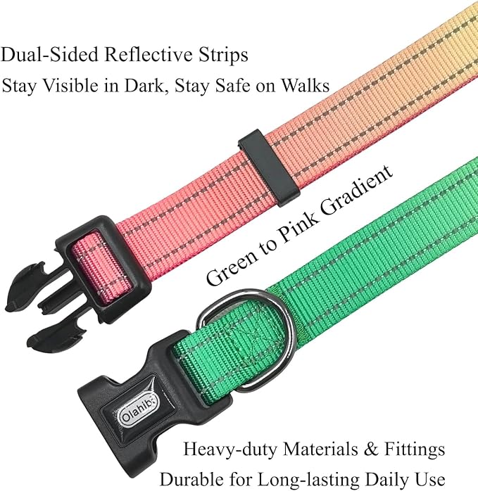 Dog Collar Leash Set, Gradient Color, with Safety Reflective Strips, 5 ft Matching Leash, Neoprene Padded Handle, Adjustable 4 Sizes for Small Medium Large Dogs.(L, Green Orange)