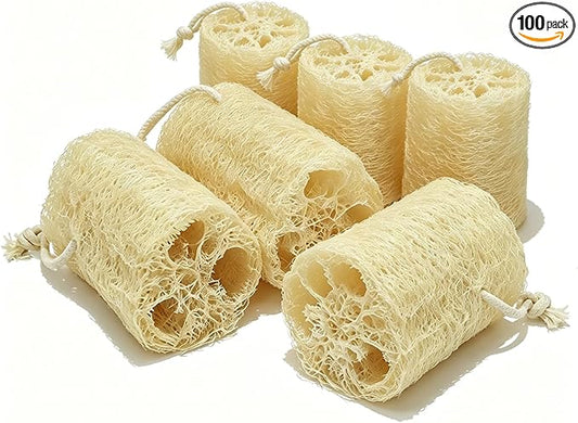 Natural Loofah Exfoliating Body Sponge Scrubber, Plant-Based Organic Loofa Luffa for Men & Women Skin Care Bath Shower Cleaning Back & Fac, Natural Sponges for Dishes (4", Count, 6.0)