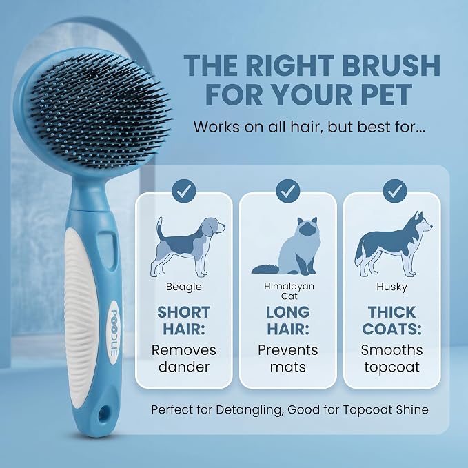 Round Bristle Pet Brush for Dogs and Cats - Soft Dog Brush for Grooming Short or Long Hair - Gentle Tool for Sensitive Skin Removes Dander, Dirt, and Detangles (Blue)