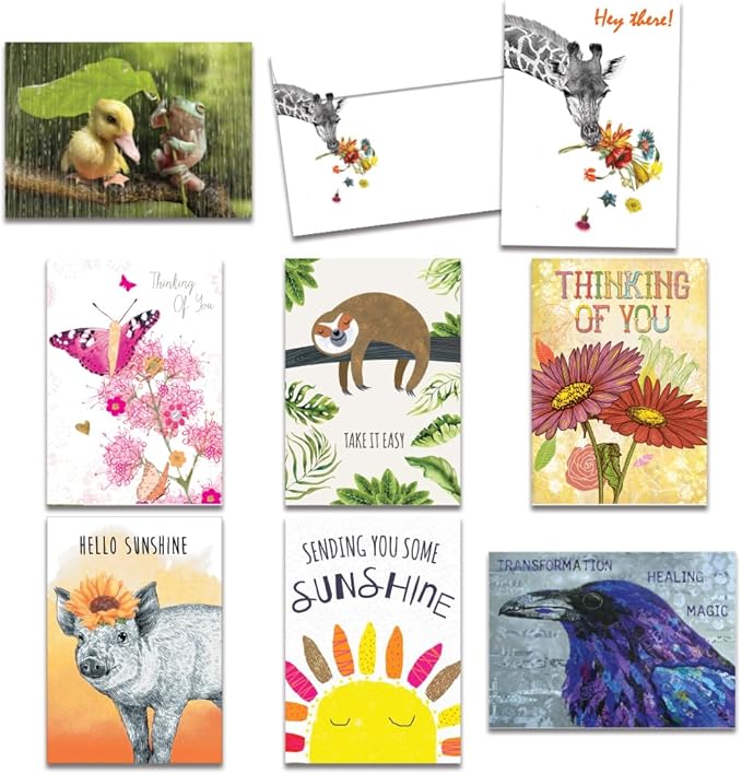 Tree-Free Greetings - Birthday Cards - Artful Designs - 8 Cards + Matching Envelopes - Made in USA - 100% Recycled Paper - 5"x7" - Thinking of You, Friendship, All Occasion, Thank You, Birthday (AGA1139)