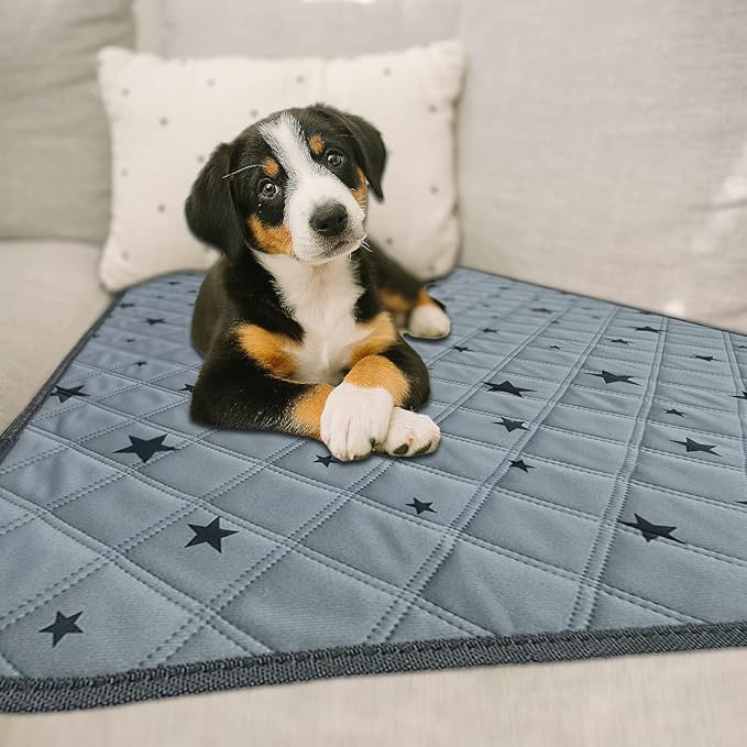 RIOUSSI Washable Pee Pads for Dogs, Reusable, Absorbent, Leakproof, Non Slip Pet Puppy Pads for Potty Training. Gray Stars, 31x36 Inch(2pack)