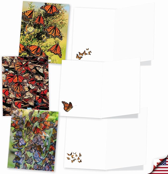 The Best Card Company - 20 Blank Notes with Envelopes - All Occasion Animal Assortment (10 Designs, 2 Each) - The Monarchs AM9538OCB-B2x10