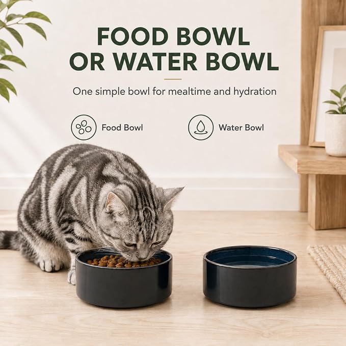 Havniva Cat Bowls Water Bowl Set of Two, 5.1” Ceramic Cat Food and Water Bowl Whisker Friendly Pet Food Bowls for Indoor Cats, Wide Cat Water Dish Prevent Whisker Fatigue Non Slip Cat Feeder