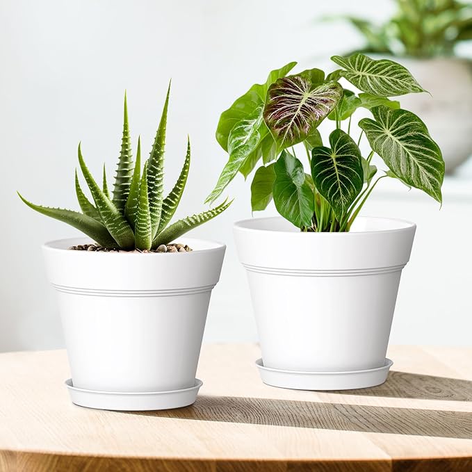 WSMKSZ 4 Inch Plastic Plant Pots with Drainage Holes and Trays – 8 Pack Small Nursery Pots for Indoor & Outdoor House Plants and Flowers, Seedling Starter Planters, White