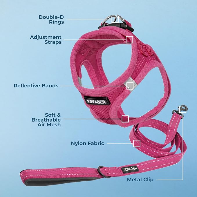 Best Pet Supplies Voyager Step-in Air All Weather Mesh Harness and Reflective Dog 5ft Leash Combo with Neoprene Handle, for Small, Medium and Large Breed Puppies - Fuchsia, Small